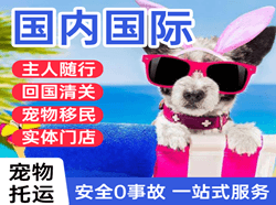株洲芦淞国际宠物托运 【国