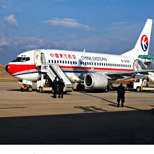 株洲芦淞航空快运业稳步发展的原因是什么？